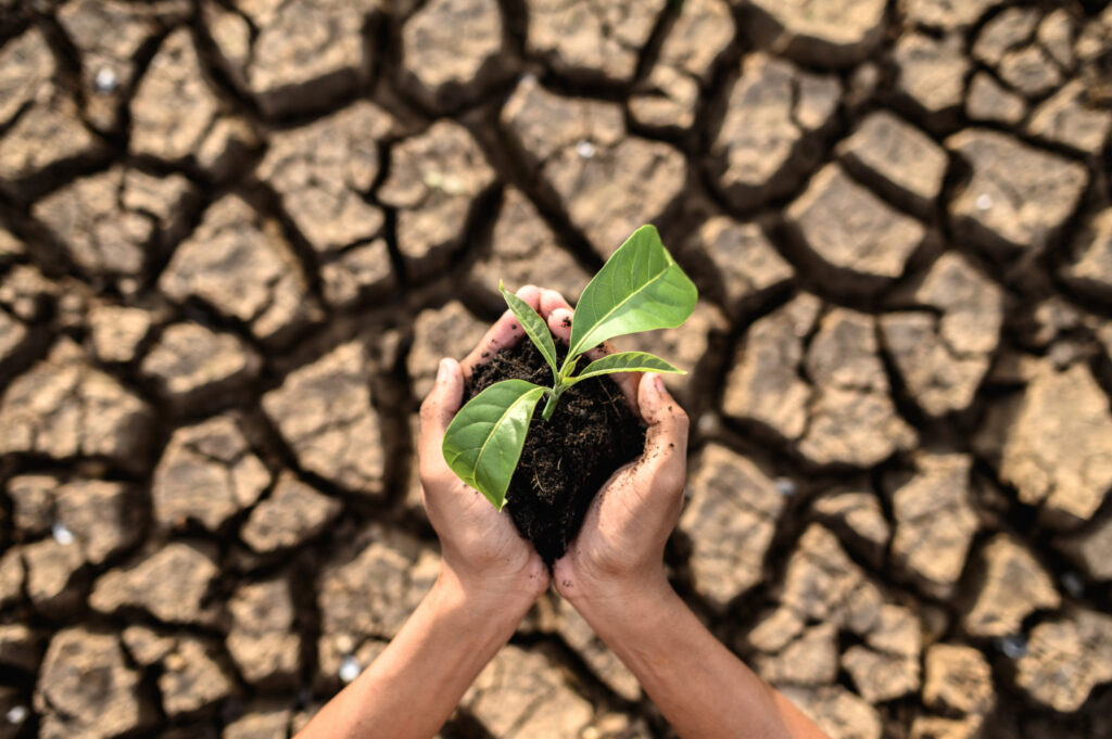 Why Ghana’s Climate Transition Must Support Local Enterprise