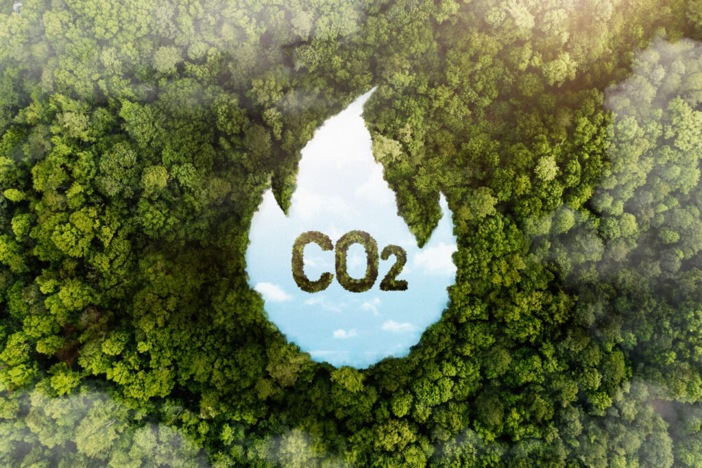 Article 6: Keeping More Carbon-Market Value in Ghana
